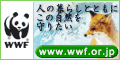 WWF����ѥ�